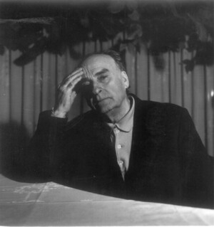Andrea Zanzotto