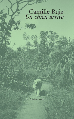 Couverture du livre Un chien arrive