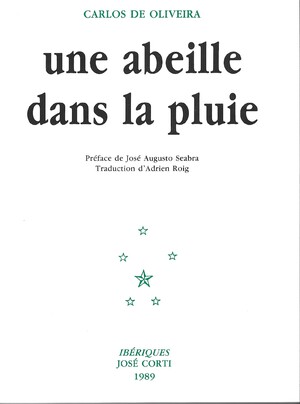 Couverture du livre Une abeille dans la pluie