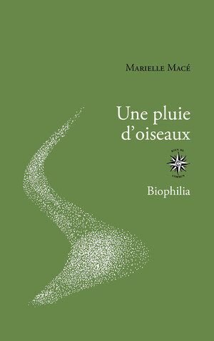 Couverture du livre Une pluie d’oiseaux